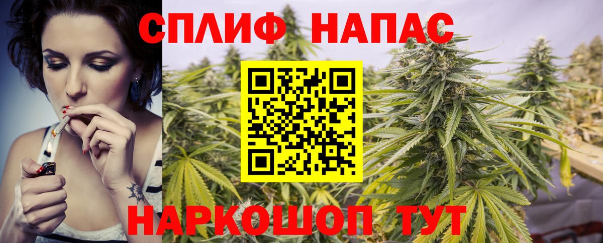МАРИХУАНА план Ейск